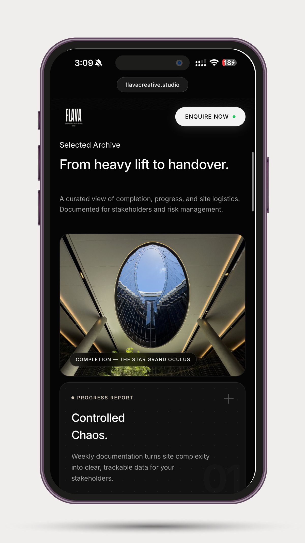 Website design project